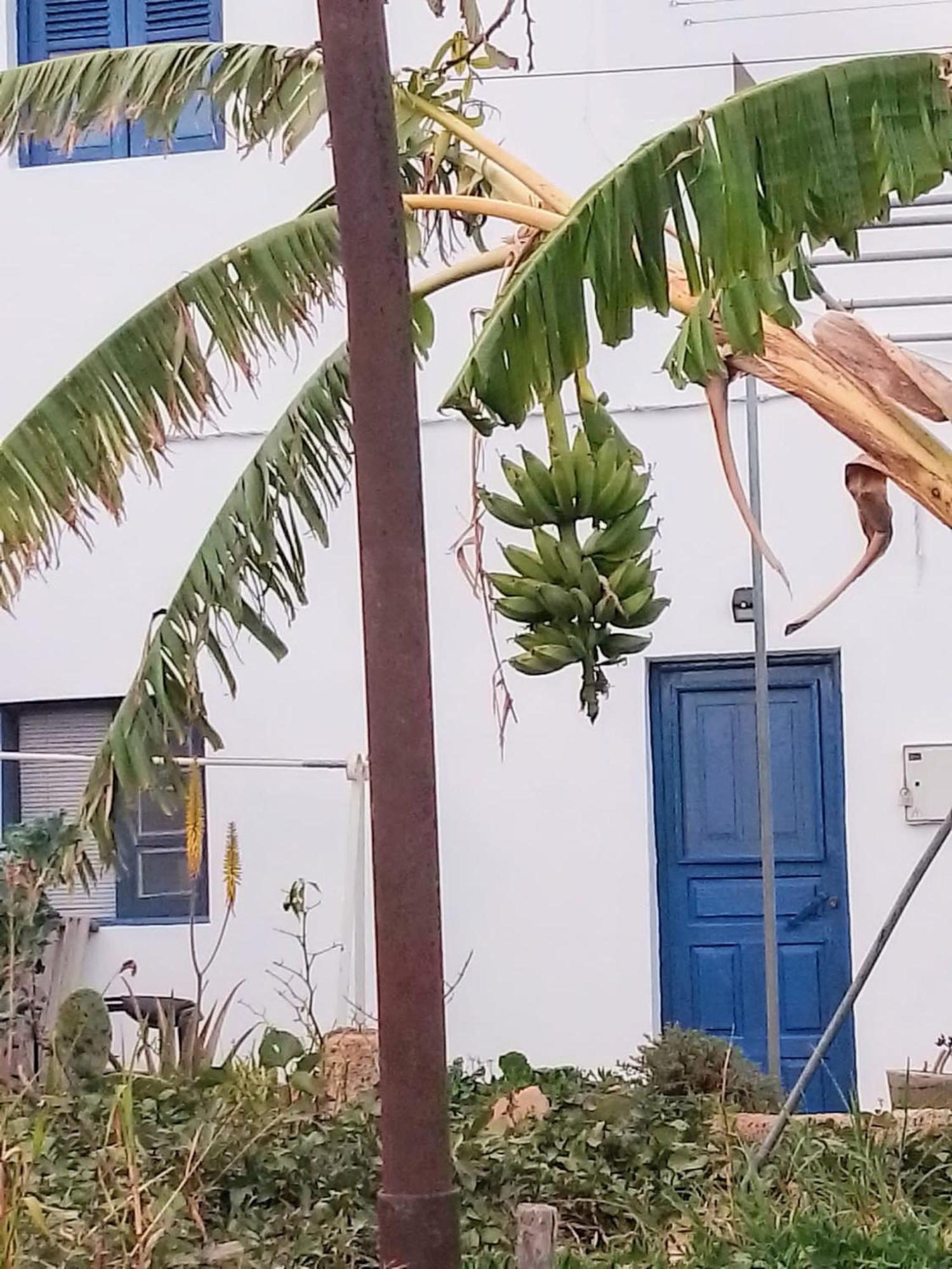 Casa Rural Mary San Miguel de Abona Zewnętrze zdjęcie